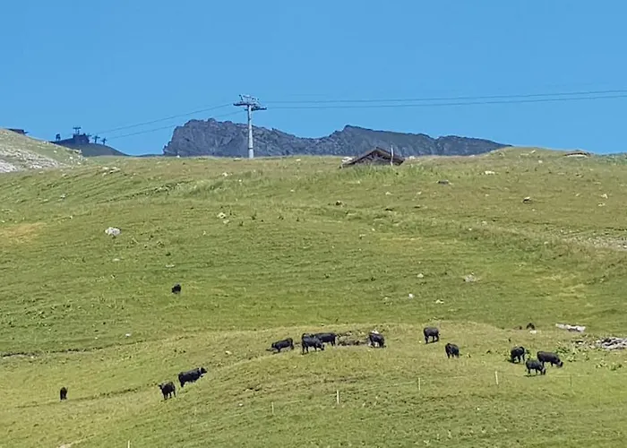 2-4 Personnes Anzère